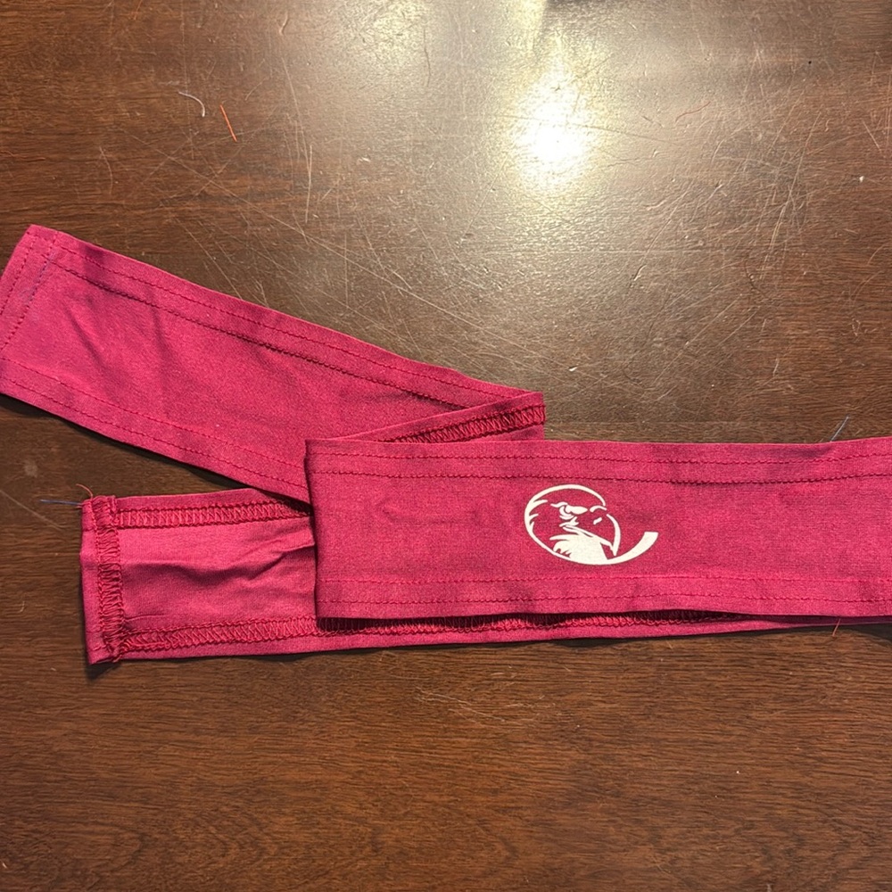 Lock Haven University Eagles tie headband